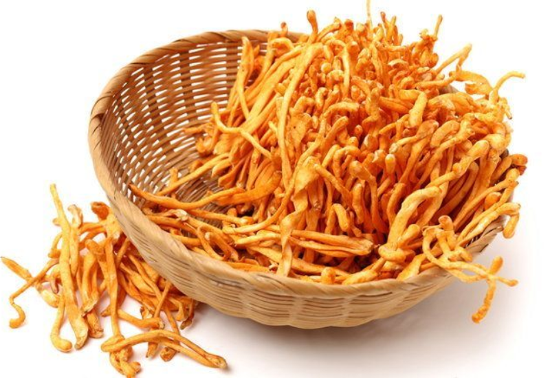 Uống trà đông trùng hạ thảo có tác dụng gì?