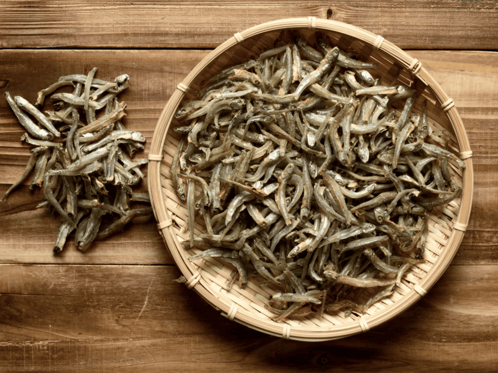 Kinh Nghiệm Chọn Mua Khô Cá Xanh Xương