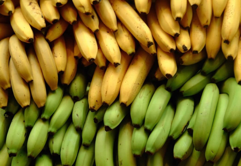 Loại chuối nào có nhiều carbohydrate nhất?