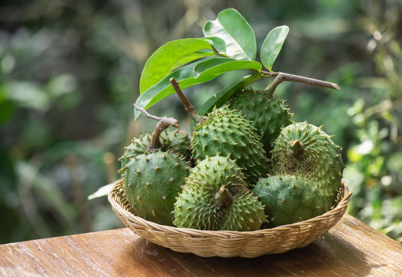 Phòng chống và tiêu diệt tế bào ung thư