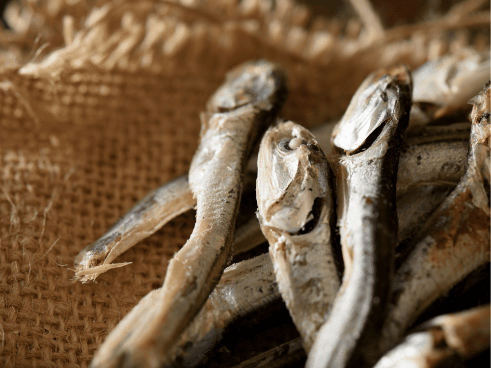 Kinh Nghiệm Chọn Mua Khô Cá Xanh Xương
